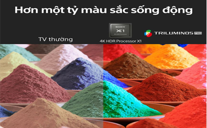 Gam màu rộng và thuật toán TRILUMINOS PRO™ độc đáo của Tivi Sony KD-65X81DK có thể phát hiện màu từ độ bão hòa, màu sắc và độ sáng đến từng chi tiết