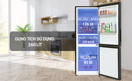 Tủ lạnh Aqua Inverter 260 Lít AQR-B306MA(HB) - Ngăn đá và ngăn lạnh