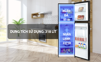 Tủ lạnh Aqua Inverter 318 lít AQR-T369FA(WBS) - Ngăn đá và ngăn lạnh