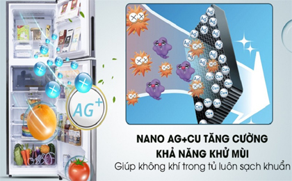 Công nghệ nano bạc-đồng khử mùi hiệu quả - Tủ lạnh Sharp Inverter 241 lít SJ-X251E-SL