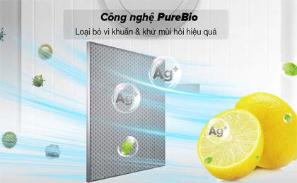 Tủ lạnh Toshiba Inverter 336 lít GR-RT435WEA-PMV(06)-MG - Công nghệ PureBio loại bỏ vi khuẩn, mùi hôi thực phẩm hiệu quả