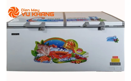 /upload/images/anh-up-web/NTD-888-In/Tu-dong-Nishu-Inverter-NTD-888-In-600-lit.jpg