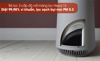 upload/images/san-pham/anh-dai-dien/may-loc-khong-khi-electrolux-fa31-202gy-20w.jpg