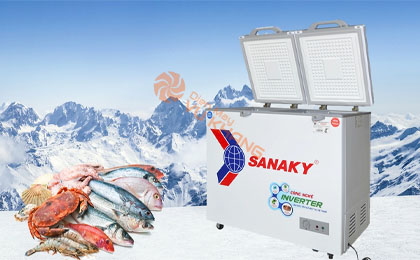 upload/images/san-pham/anh-dai-dien/tu-dong-sanaky-inverter-220-lit-vh-2899w4k.jpg