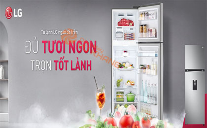 upload/images/san-pham/anh-dai-dien/tu-lanh-lg-inverter-314-lit-gn-d312ps.jpg