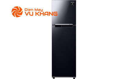 Tủ lạnh Samsung Inverter 256 lít RT25M4032BU/SV