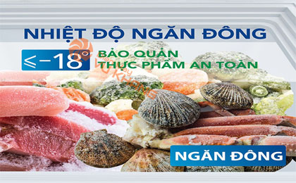 Tủ đông Hòa Phát  107 lít HCF 106ĐSH dàn lạnh đồng