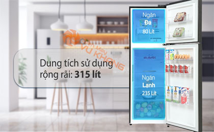 Tủ lạnh LG Inverter 315 Lít GN-M312BL - Ngăn đá và ngăn lạnh