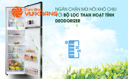 Tủ lạnh Samsung Inverter 256 lít RT25M4032BU/SV - Bộ lọc kháng khuẩn khử mùi