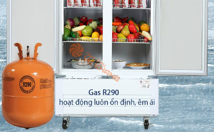 Tủ mát Sanaky 700 lít TM.VH8009HP - Thiết kế bên trong